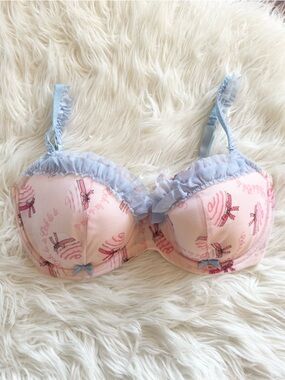 LA SENZA 36C pink and blue bra with frill detail, bows and cupcake design NWOT